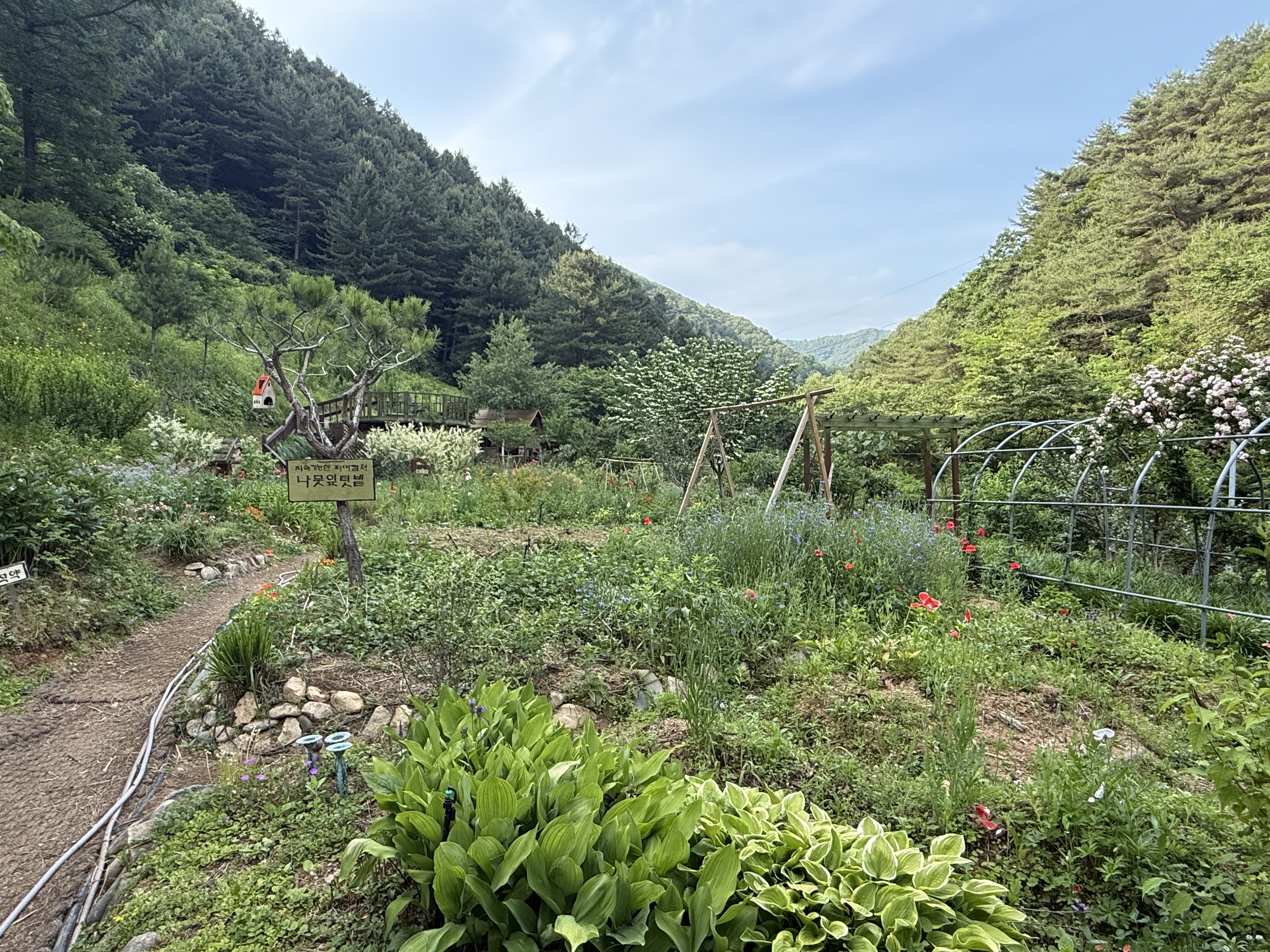 WWOOFing in Korea